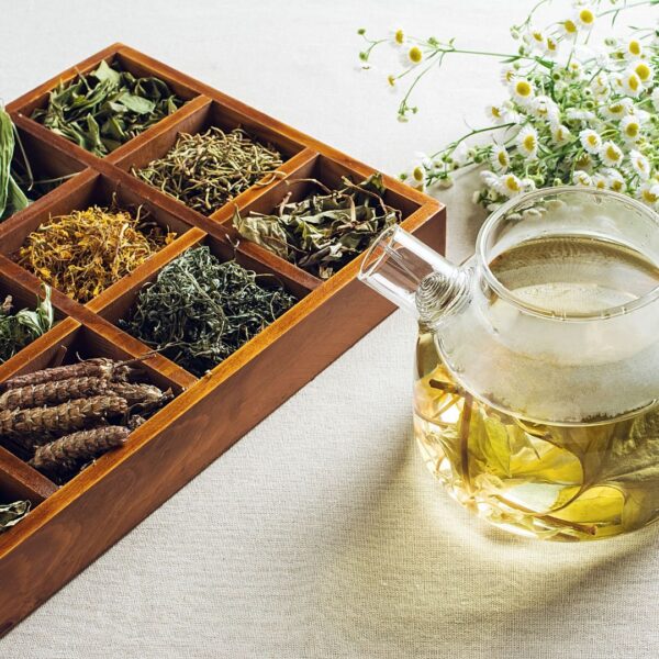 diplomatura en tea blender